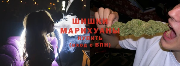 дурь Алзамай