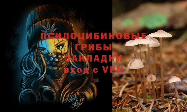 бутират Алексин