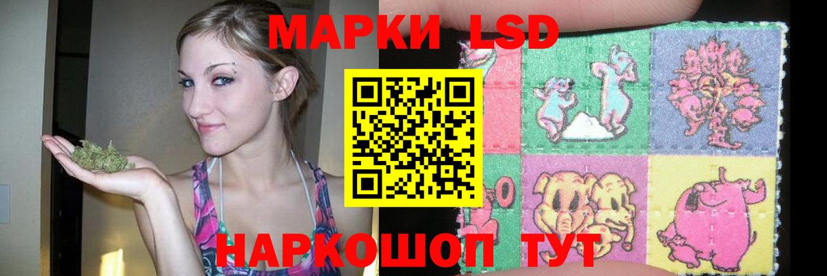 Лсд 25 экстази  Вход с VPN  LSD-25 экстази кислота  Кондопога  Лсд 25 экстази кислота 