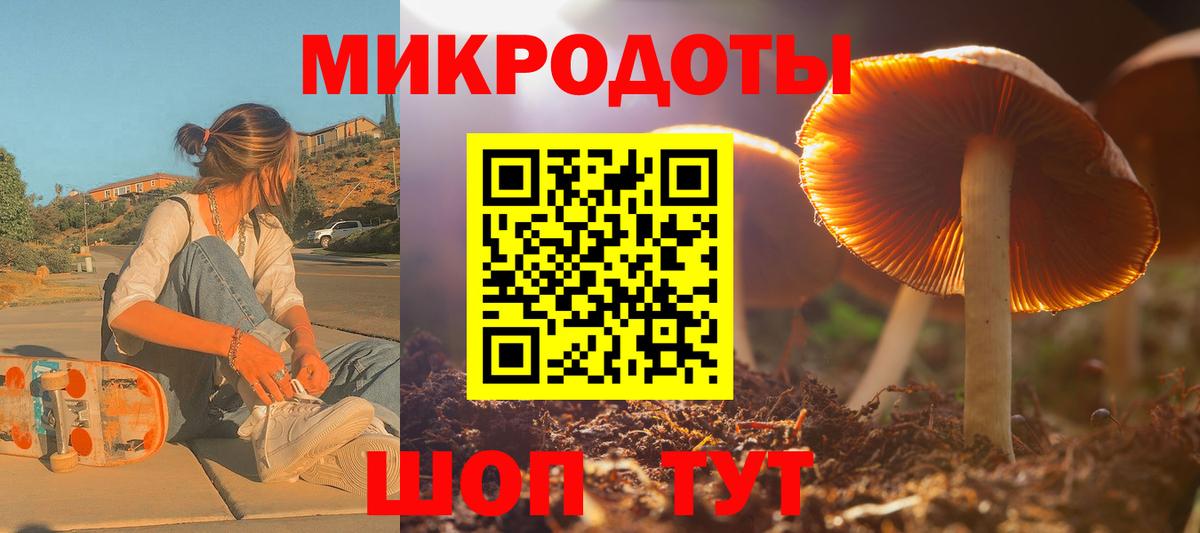 Галлюциногенные грибы мицелий Кондопога